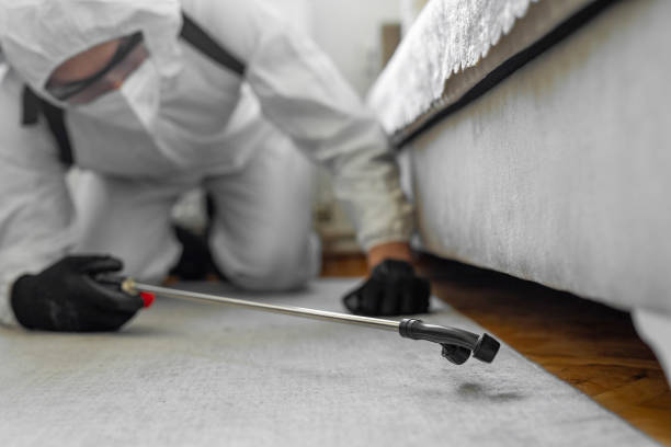 Professional Bed Bug Control technician working in Red Oaks Mill, NY