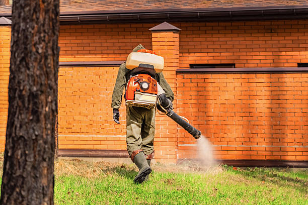 Trusted Bed Bug Control service in Red Oaks Mill, NY - Nex Pest Control
